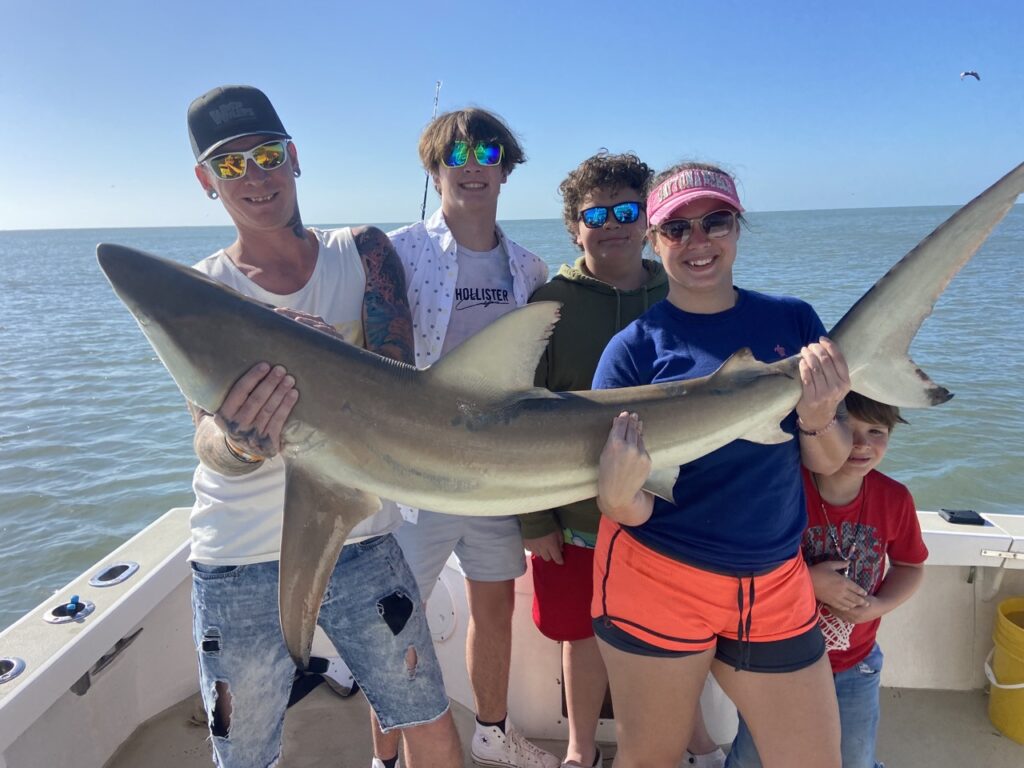 Blacktip Shark